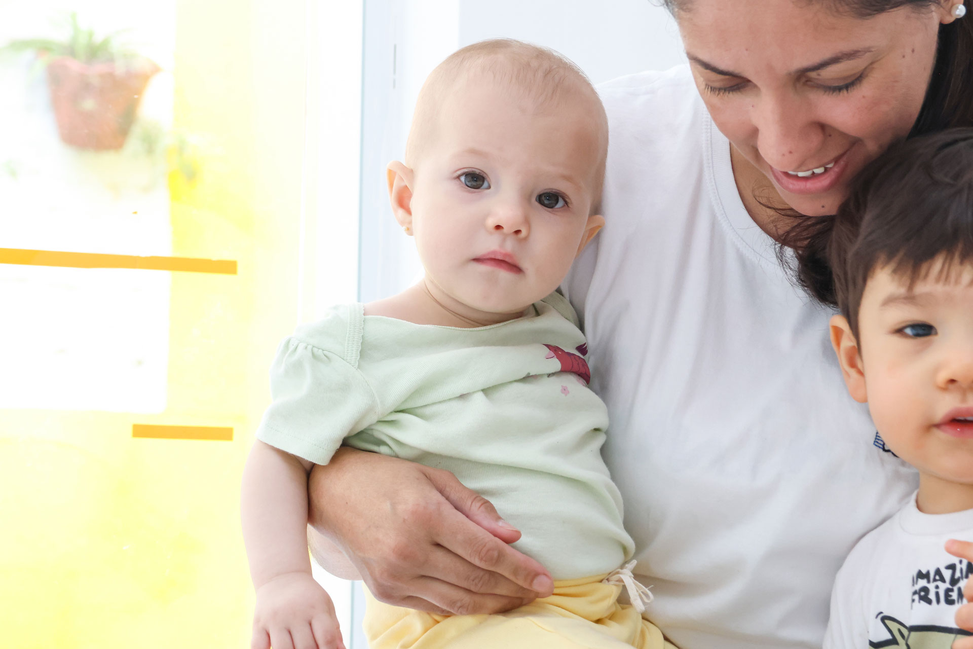 dikopataka-BERÇARIO