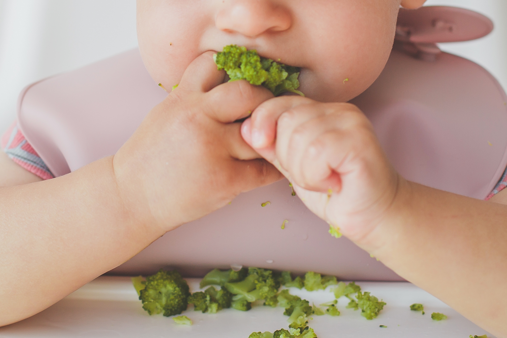 dikopataka-alimentacaosaudavel-9