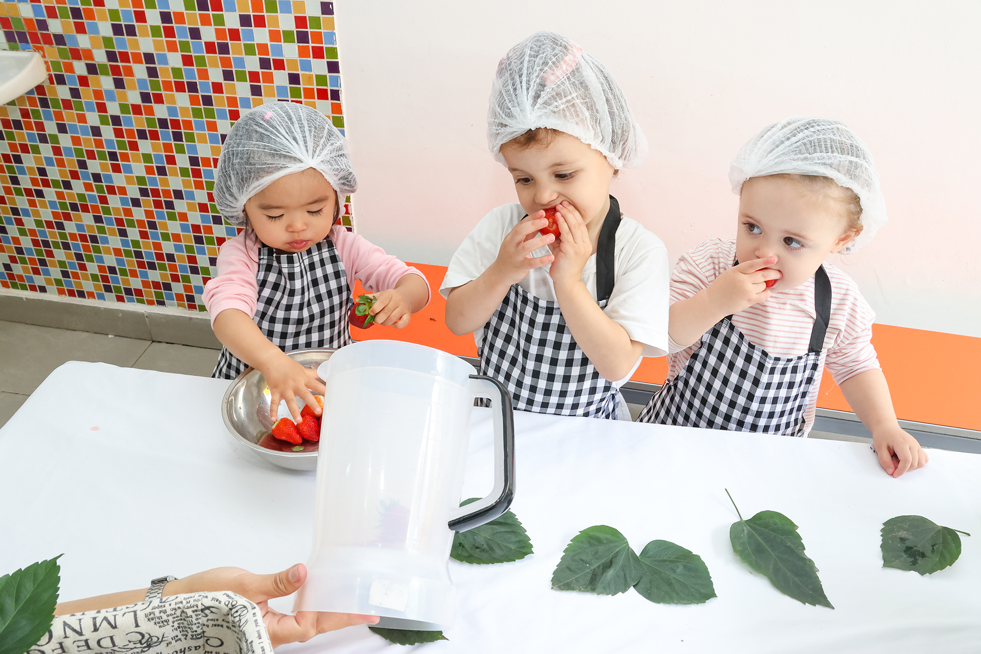 dikopataka-alimentacaosaudavel